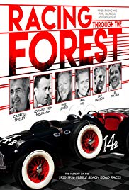 Watch Full Movie :Racing Through the Forest (2014)