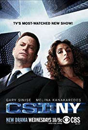 Watch Full TV Series :CSI: NY (20042013)