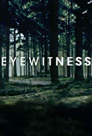 Watch Full TV Series :Eyewitness (2016 )
