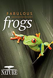 Watch Full Movie :Fabulous Frogs (2014)