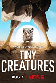 Watch Full TV Series :Tiny Creatures (2020 )