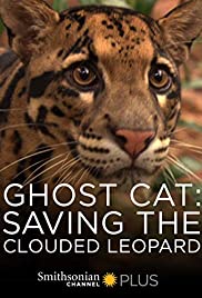 Watch Full Movie :Ghost Cat: Saving the Clouded Leopard (2007)