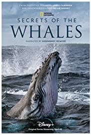 Watch Full TV Series :Secrets of the Whales (2021)