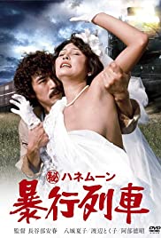 Watch Full Movie :Secret Honeymoon: Rape Train (1977)