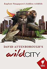 Watch Full TV Series :David Attenboroughs Wild City (2016)
