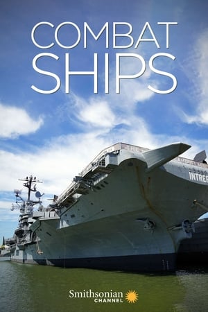Watch Full TV Series :Combat Ships (2017-2022)