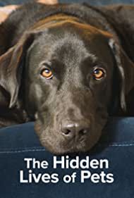Watch Full TV Series :The Hidden Lives of Pets (2022)
