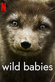 Watch Full TV Series :Wild Babies (2022-)