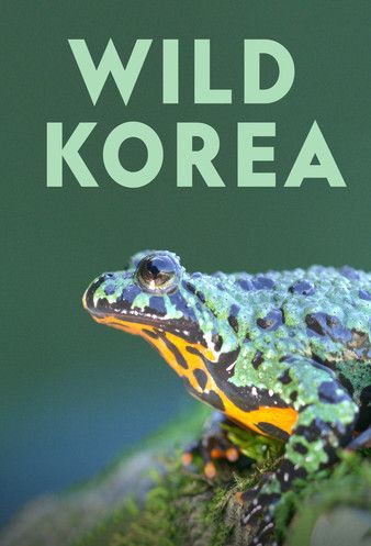 Watch Full TV Series :Wild Korea 2022