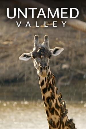 Watch Full TV Series :Untamed Valley (2017-)