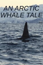 Watch Full Movie :An Arctic Whale Tale (2022)