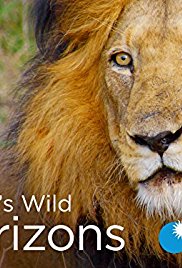 Watch Full TV Series :Africas Wild Horizons (2015 2016)