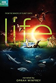 Watch Full TV Series :Life (2009)
