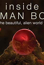 Watch Full TV Series :Inside the Human Body (2011 )